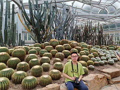 Han Li